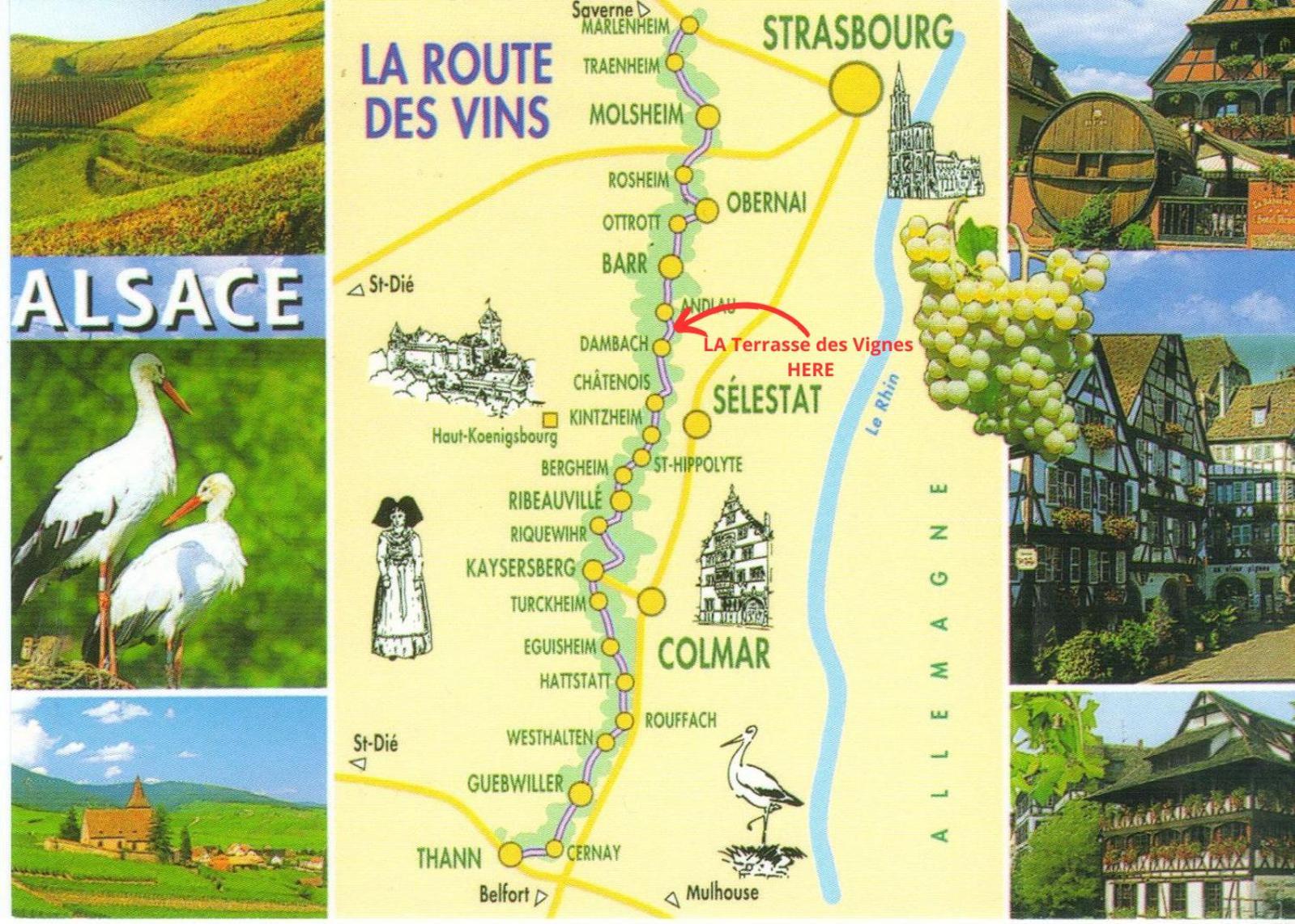 La Terasse Des Vignes - Maison 2 Chambres - 4 Personnes Blienschwiller المظهر الخارجي الصورة